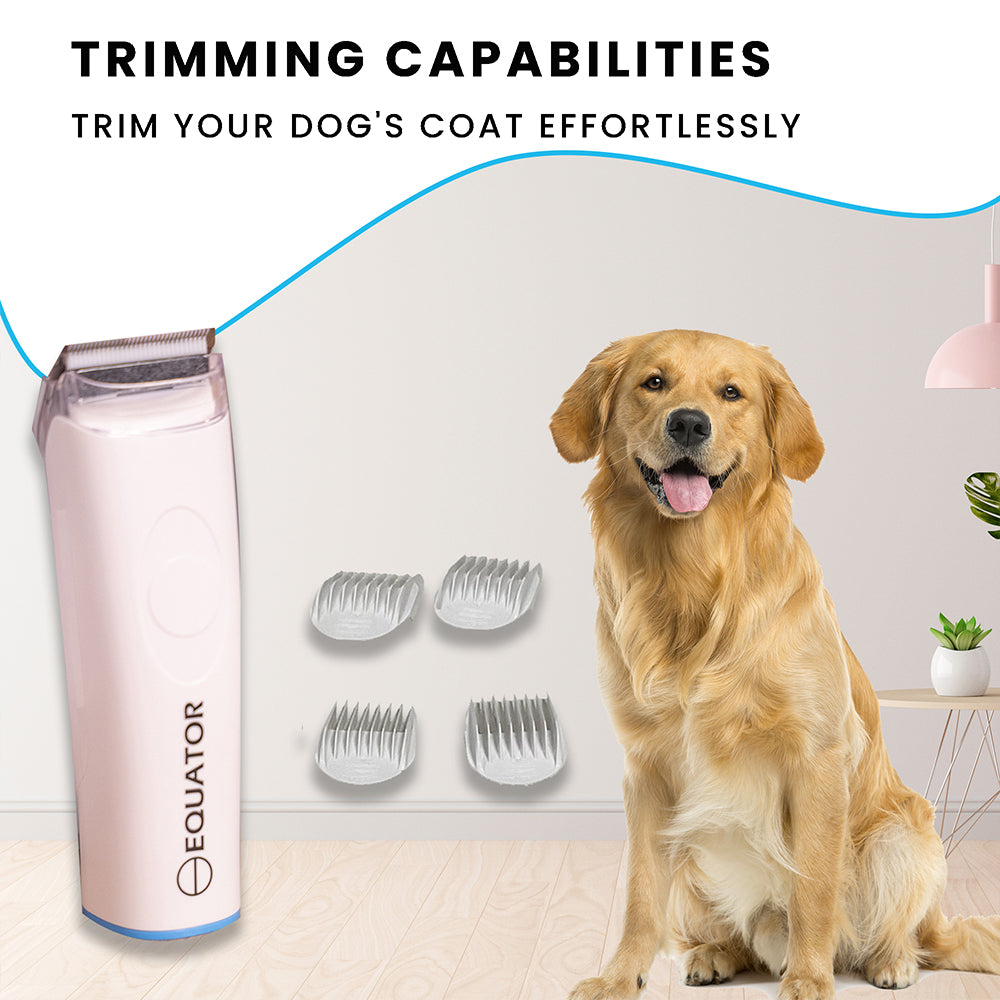 ENSEMBLE MAISON SAINE POUR ANIMAUX DE COMPAGNIE Niveau 2 Purificateur d'air pour toiletteur Humidificateur 110V 431 pi²