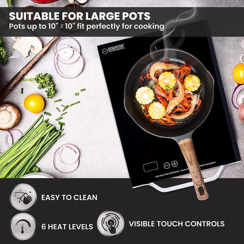 Equator 11 inch Portable One-Burner Induction Cooktop LIGHT Aluminum Handle 110V