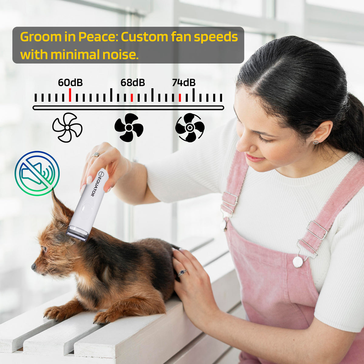 ENSEMBLE MAISON SAINE POUR ANIMAUX DE COMPAGNIE Niveau 2 Purificateur d'air pour toiletteur Humidificateur 110V 431 pi²