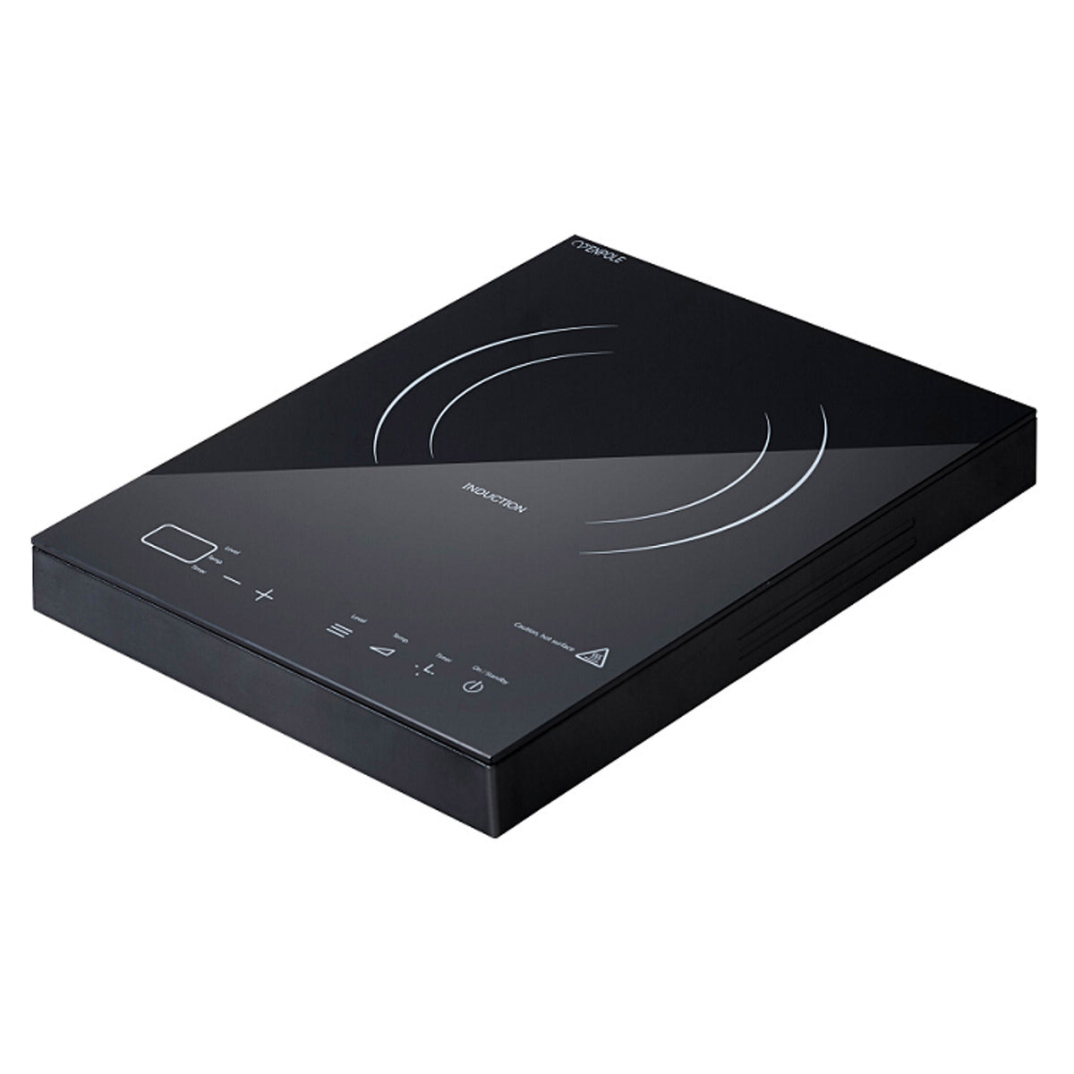 Induction - VP1-21D - Ex