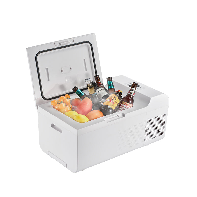Rolling Fridge-Freezer Portable Casters Retractable Handle 0.7cf 12/110V