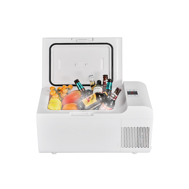 Rolling Fridge-Freezer Portable Casters Retractable Handle 0.7cf 12/110V