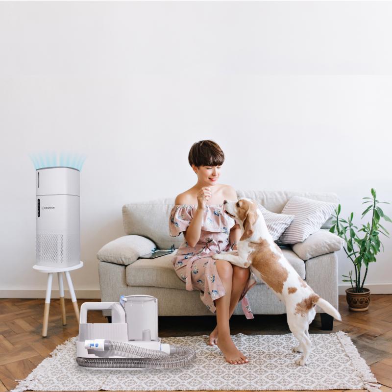 ENSEMBLE MAISON SAINE POUR ANIMAUX DE COMPAGNIE Niveau 2 Purificateur d'air pour toiletteur Humidificateur 110V 431 pi²