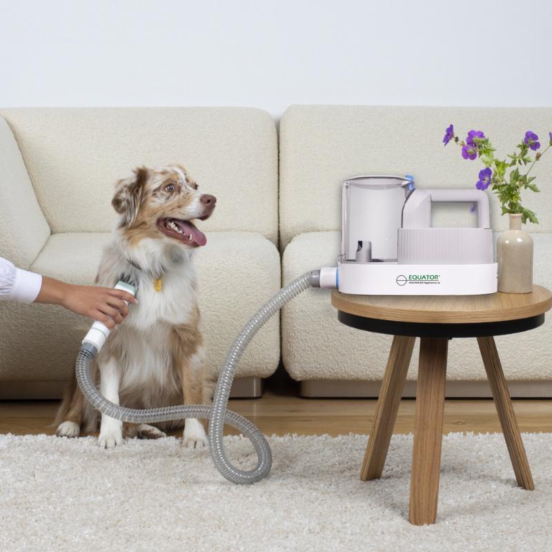 ENSEMBLE MAISON SAINE POUR ANIMAUX DE COMPAGNIE Niveau 2 Purificateur d'air pour toiletteur Humidificateur 110V 431 pi²