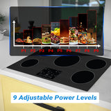 Equator 36 inch Built-In 5 Burner Induction Cooktop POWER BOOST Keep Warm 240V/9600W