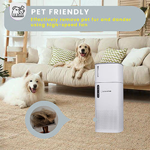 Equator HEPA Air Purifier Sterilizer Ionizer Humidifier PET Option 431sf 110V