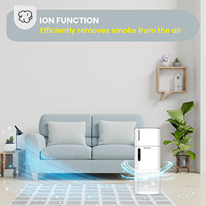Equator HEPA Air Purifier Sterilizer Ionizer Humidifier PET Option 431sf 110V