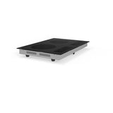 Equator 20inch Built-In/Freestanding 2 Burner HORIZONTAL Induction Cooktop 110V
