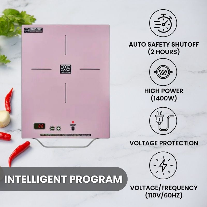 Placa de inducción portátil Equator de 11 pulgadas con un quemador, mango de aluminio LIGHT, 110V