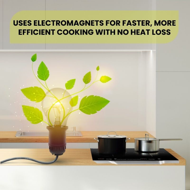 Placa de inducción portátil Equator de 2 quemadores y 21 pulgadas, LIGERA con MANGO DE ALUMINIO, 110 V
