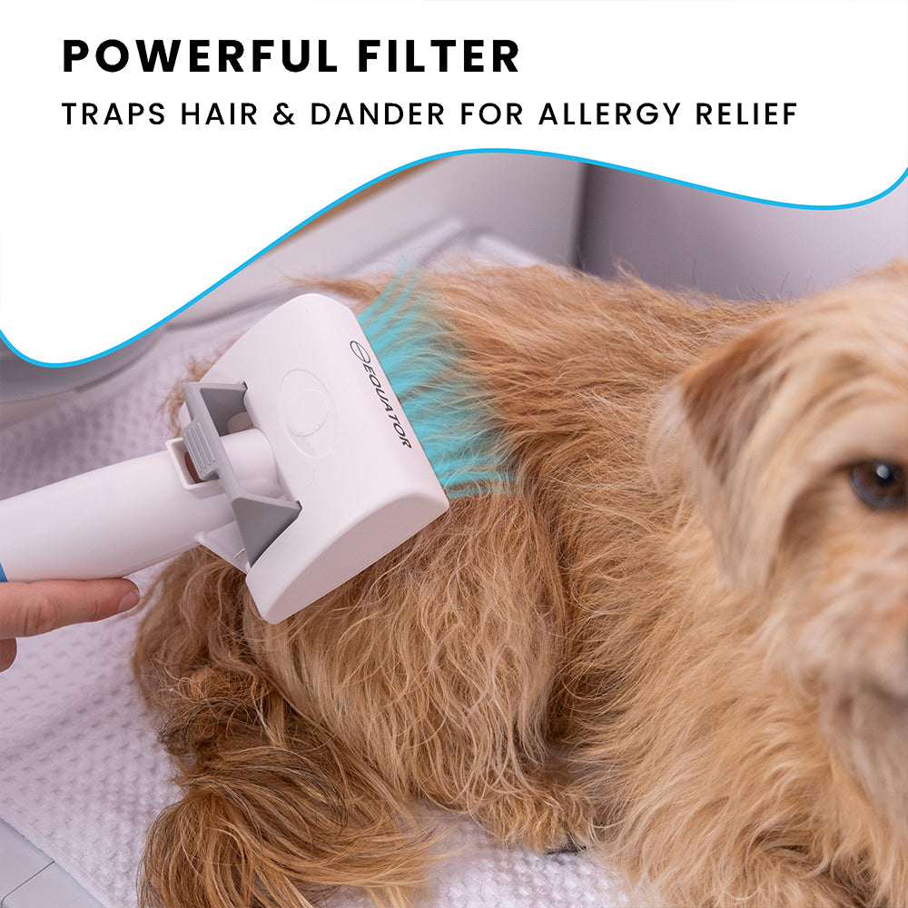 ENSEMBLE MAISON SAINE POUR ANIMAUX DE COMPAGNIE Niveau 2 Purificateur d'air pour toiletteur Humidificateur 110V 431 pi²