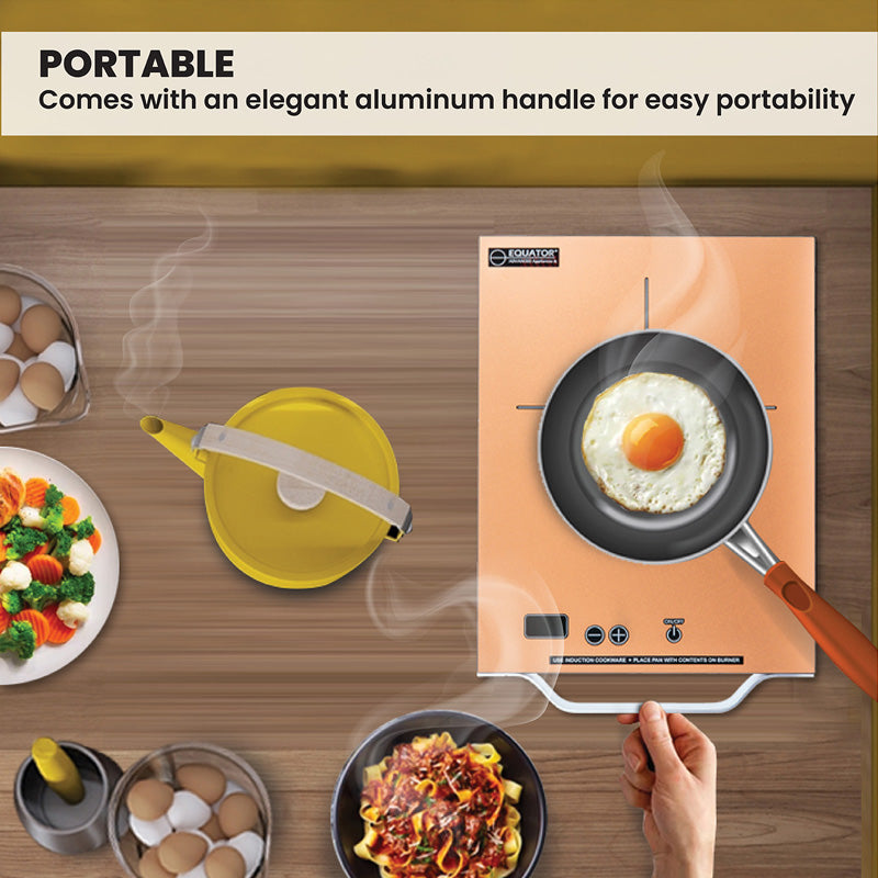 Placa de inducción portátil Equator de 11 pulgadas con un quemador, mango de aluminio LIGHT, 110V