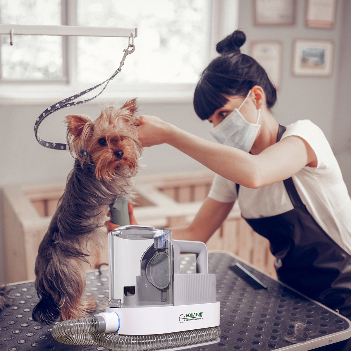 Equator 2.5L/120V Advanced Pet Groomer w/ Adjustable Clipping Comb and Detachable Hose