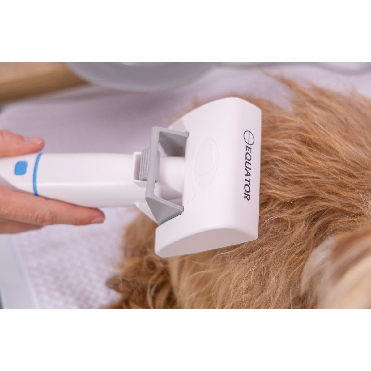 Equator 2.5L/120V Advanced Pet Groomer w/ Adjustable Clipping Comb and Detachable Hose