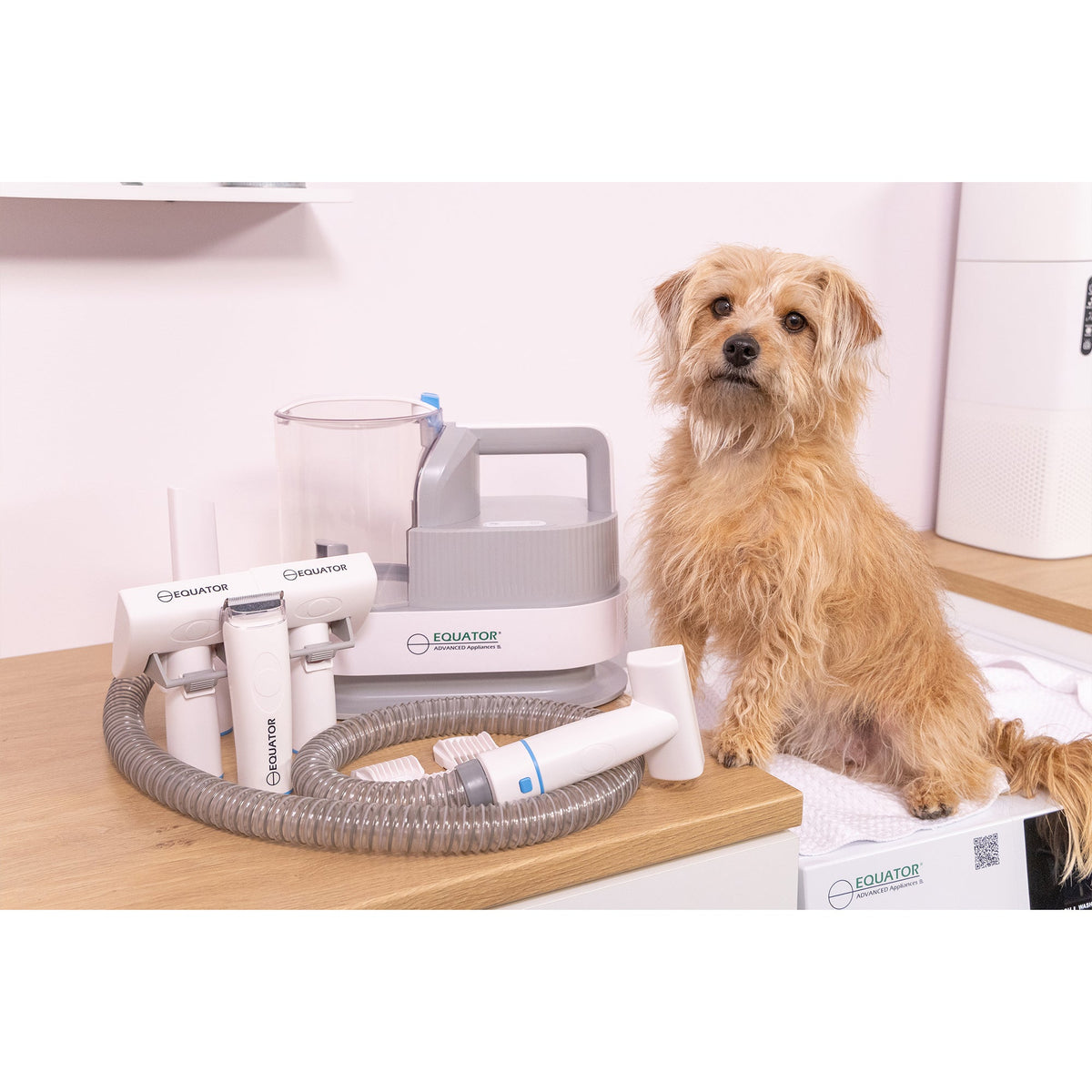 Equator 2.5L/120V Advanced Pet Groomer w/ Adjustable Clipping Comb and Detachable Hose